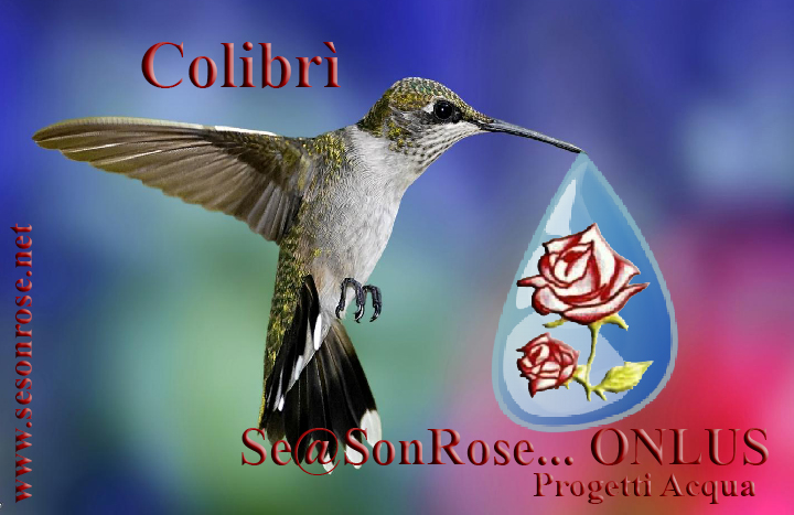 progetto colibrì
